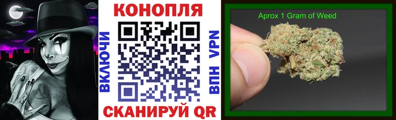 Канабис OG Kush Севастополь